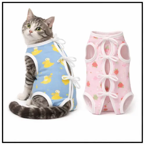 Ropa para gatos recién operados en AliExpress Colombia