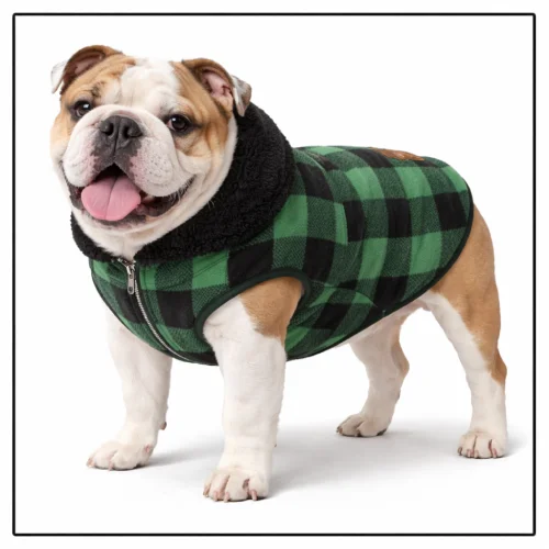 Ropa para perros bulldog en AliExpress Colombia