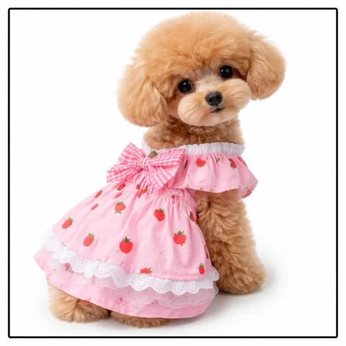 Ropa para perros pequeños en AliExpress Colombia