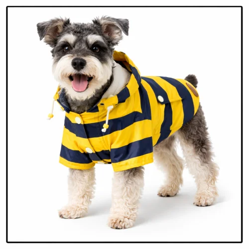 Ropa para perros schnauzer en AliExpress Colombia